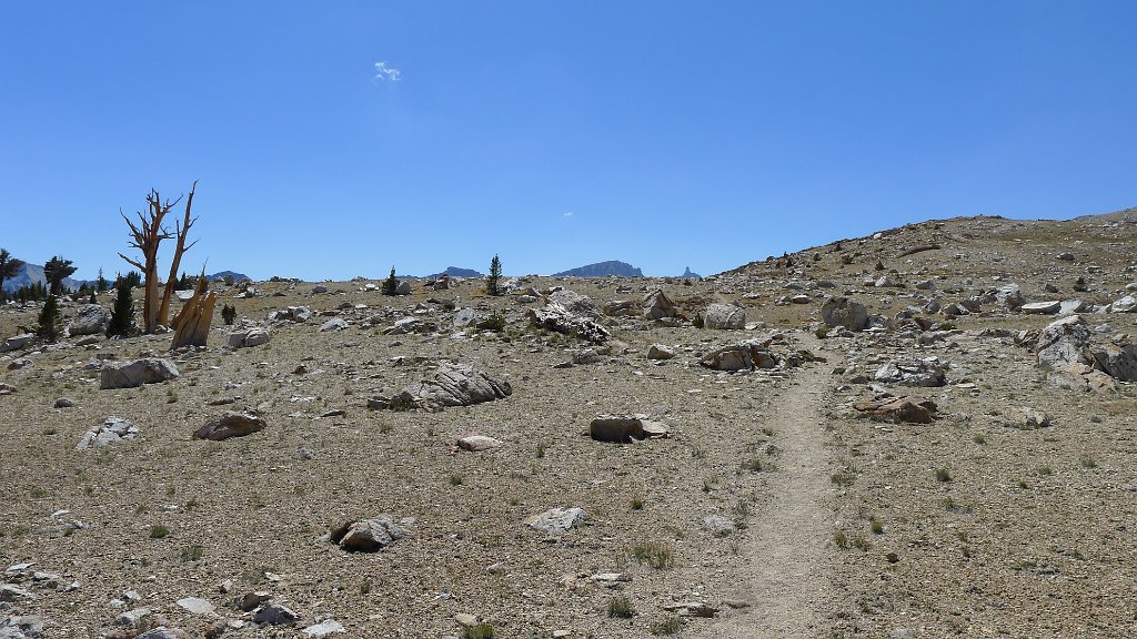 SouthernSierra 526